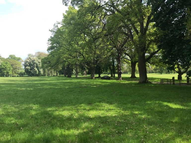 Mature trees and open countryside